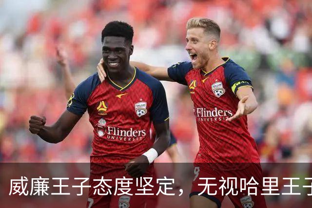 威廉王子态度坚定，无视哈里王子的和解请求，依旧拒绝原谅他